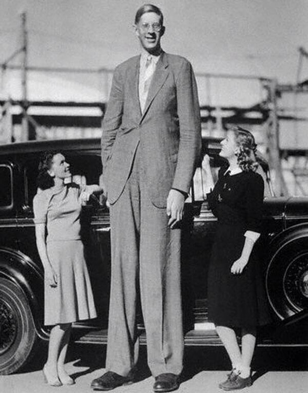 El hombre mas alto del mundo, 272 cms